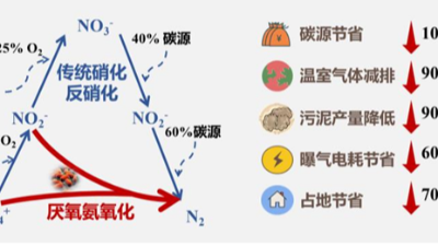 高氨氮廢水厭氧氨氧化高效低碳脫氮技術(shù)